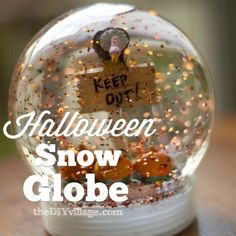 a snow globe with the words keep out on it and an image of a bear inside