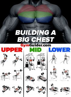 the upper and lower body workout for building a big chest