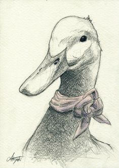 a drawing of a duck wearing a scarf