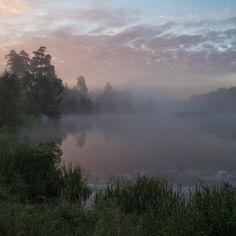 a foggy lake with trees in the background and water on the ground near by