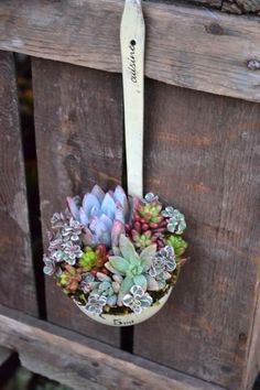 small succulents and other plants are in a hanging planter on a wooden bench