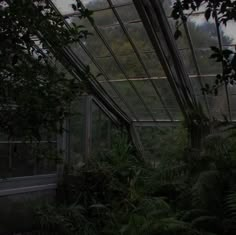 the inside of a greenhouse with lots of trees and plants growing on the ground in front of it