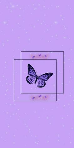 a purple background with an image of a butterfly