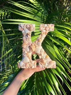 the letter k is made out of seashells and sits in front of palm leaves