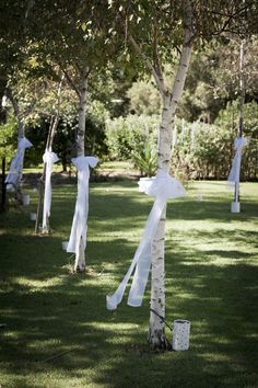 several white ribbons tied to trees in the grass