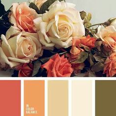 the color scheme is peach, orange and white with some green leaves on top of it