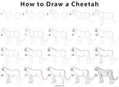 how to draw a cheetah step by step drawing instructions for children and adults