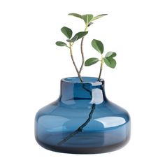 a blue vase with a small plant in it's center, on a white background