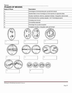 the diagram shows different parts of an animal's body and their functions in it