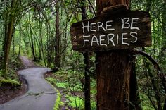 there is a sign that says here be faeries on the side of a tree