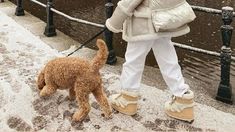 a woman walking her dog in the snow