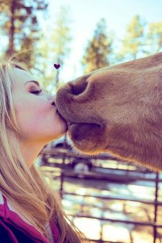 a woman is kissing the nose of a horse