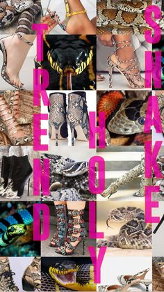 Snake Pattern, Fashion Heels, Miu Miu Ballet Flats, High Heel Boots