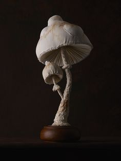 two white mushrooms sitting on top of a wooden base