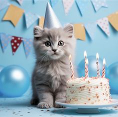 a kitten sitting in front of a birthday cake