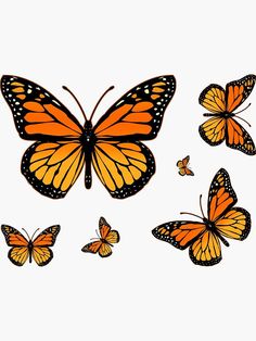 a group of orange butterflies flying in the sky