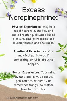 Norepinephrine (NE) raises your level of alertness and arousal. It puts the amygdala on high alert to set off all the alarms in case danger arises.That alarm system is good if you’re doing something like hunting or evading capture, but not helpful if you're speaking in front of a group or if you've developed panic anxiety for any reason. Norepinephrine is the brain’s version of epinephrine, which also goes by the name “adrenaline.” Episodic Memory, Complementary Medicine, Brain Waves, Doing Something, Muscle Tension, Alarm System, Girly Stuff, Something To Do, Psychology