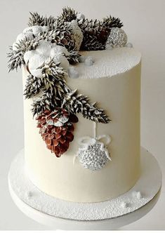 a white frosted cake with pine cones and decorations