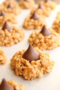 cookies with chocolate on top are sitting on a baking sheet and ready to be eaten