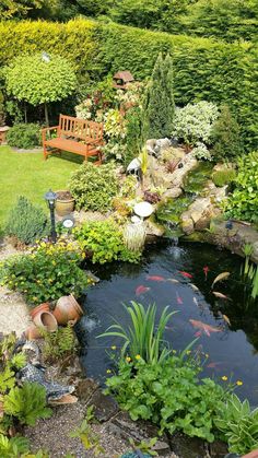 a small pond surrounded by plants and flowers in the middle of a garden with a wooden bench