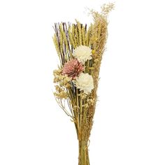 dried flowers in a vase on a white background