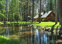 a log cabin sits in the woods next to a river