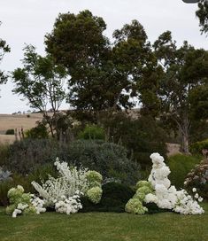 some white flowers bushes and trees in the grass