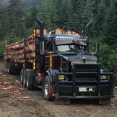 a large semi truck hauling logs down a dirt road