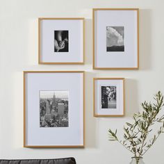 three framed photographs hang on the wall above a table with a vase and plant in it