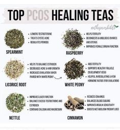 Herbs To Start Period, Hormone Nutrition, Treating Cystic Acne, Foods To Balance Hormones, Low Estrogen Symptoms, Fertility Health, Healing Tea, One Pager, Healthy Hormones