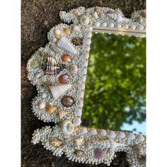 a mirror that has shells on it