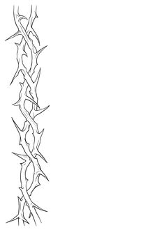 a black and white drawing of a vine