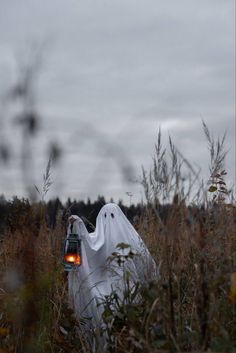 there is a ghost in the tall grass with a lantern on it's head