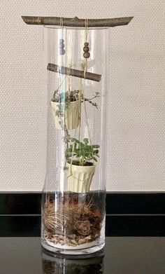 a glass vase filled with plants on top of a table