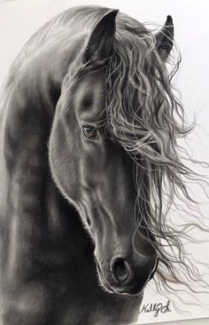 a black and white drawing of a horse with long hair on it's head