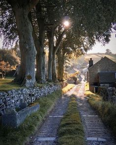 the sun shines brightly through the trees on this country road that leads to an old stone house