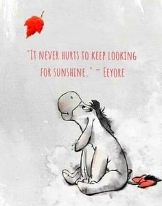 an elephant sitting on the ground with a red leaf above it and a quote written below