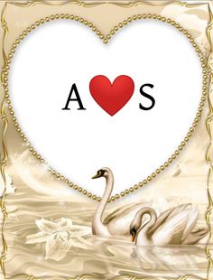 a heart shaped frame with two swans in it and the word aos on top