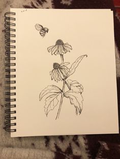 a drawing of a flower and a butterfly