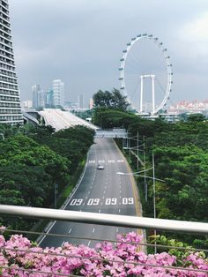 a view of a city street with flowers in the foreground and a ferris wheel in the background