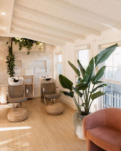 a living room filled with furniture and a plant in a vase on the floor next to two chairs