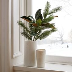 two white vases with plants in them sitting on a window sill next to a snowy landscape