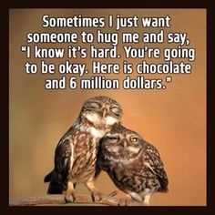 two owls sitting next to each other on top of a tree branch with the caption, sometimes i just want someone to hug me and say