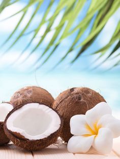 three coconuts and two white flowers on a wooden surface with palm leaves in the background