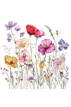 an illustration of colorful flowers on a white background with the words, wildflowers