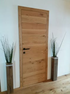 two vases with plants are next to a wooden door