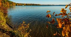 a lake surrounded by trees with leaves in the foreground and blue sky in the background