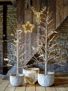 three white christmas trees in baskets on a wooden floor