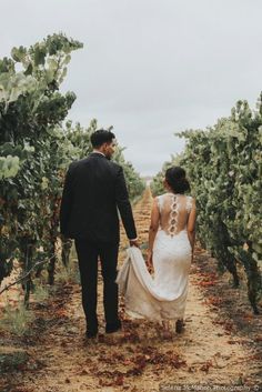 a bride and groom walking through the vineyard