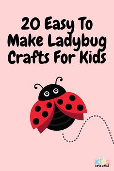 a ladybug with the words 20 easy to make ladybug crafts for kids